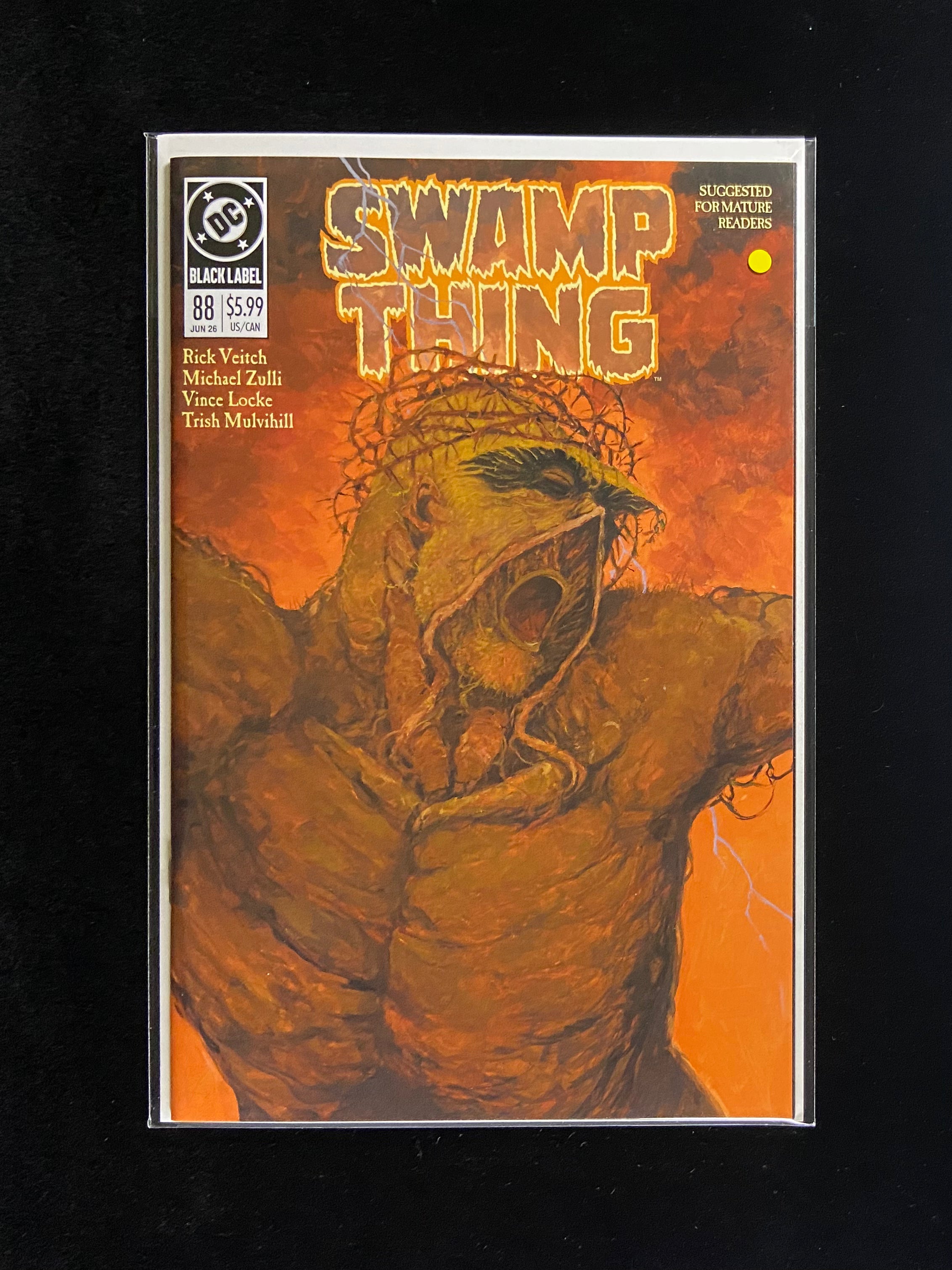 Swamp Thing 1989 #1