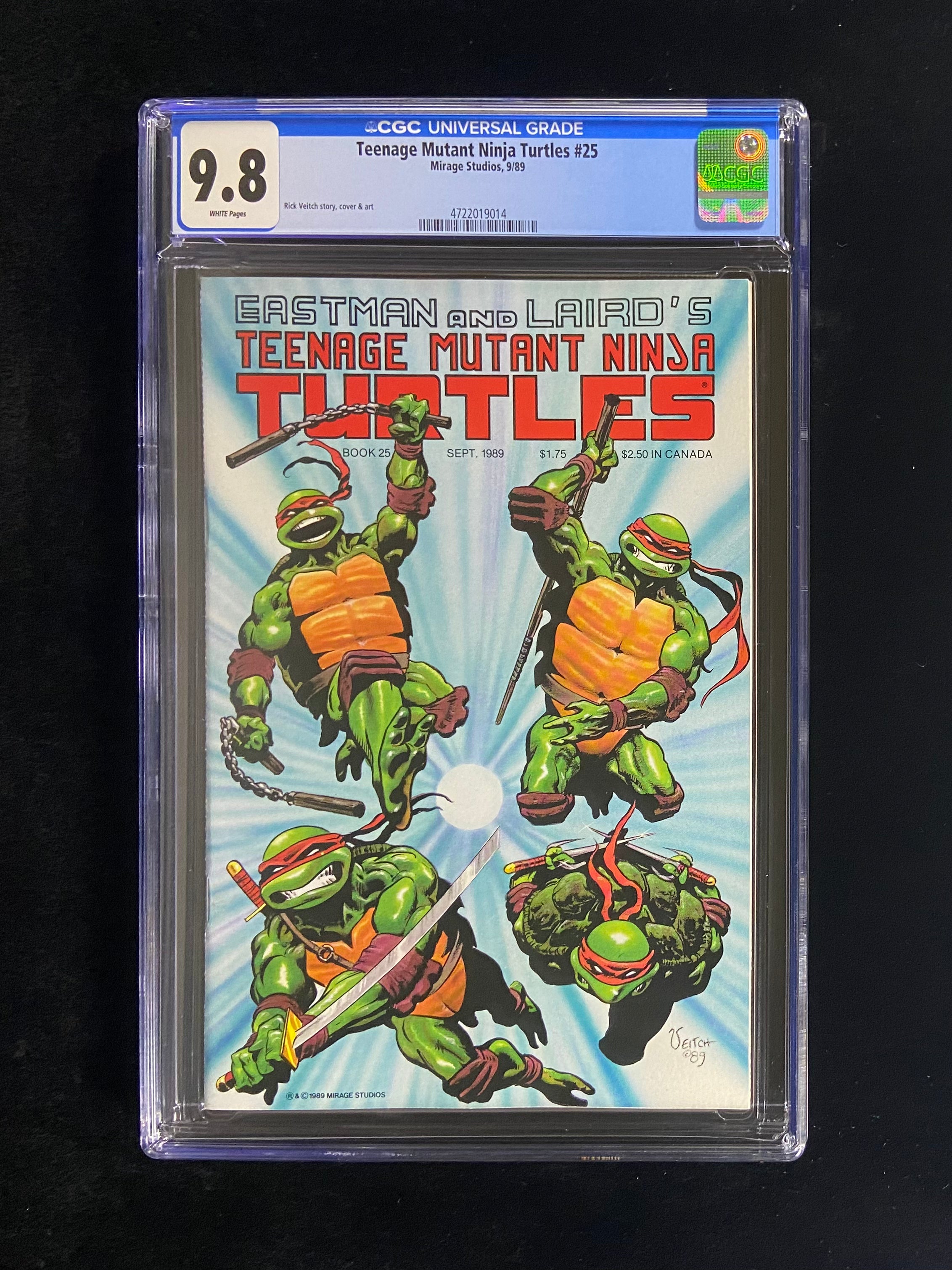 Teenage Mutant Ninja Turtles, Vol. 1 #25