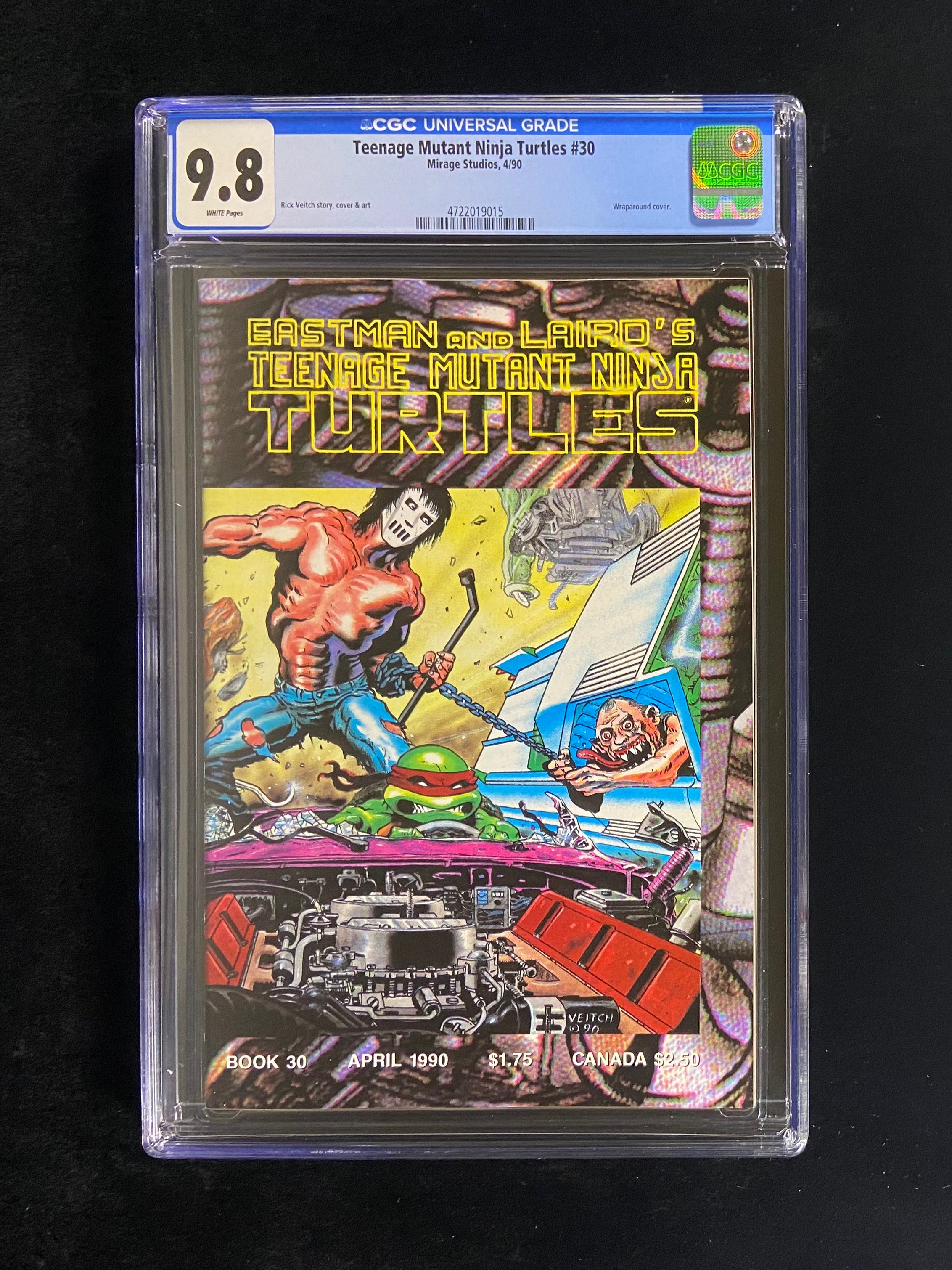 Teenage Mutant Ninja Turtles, Vol. 1 #30