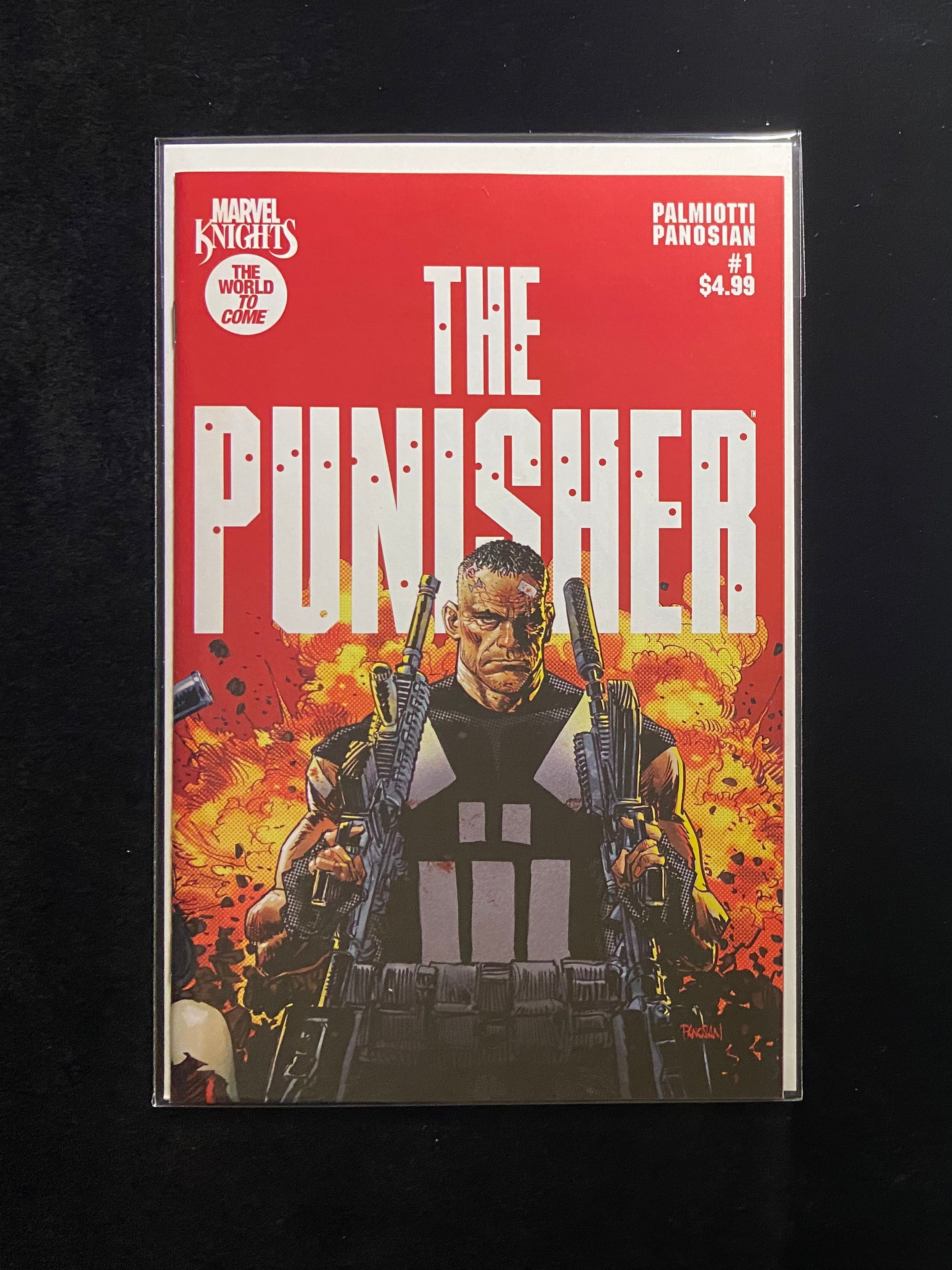 Marvel Knights: Punisher #1